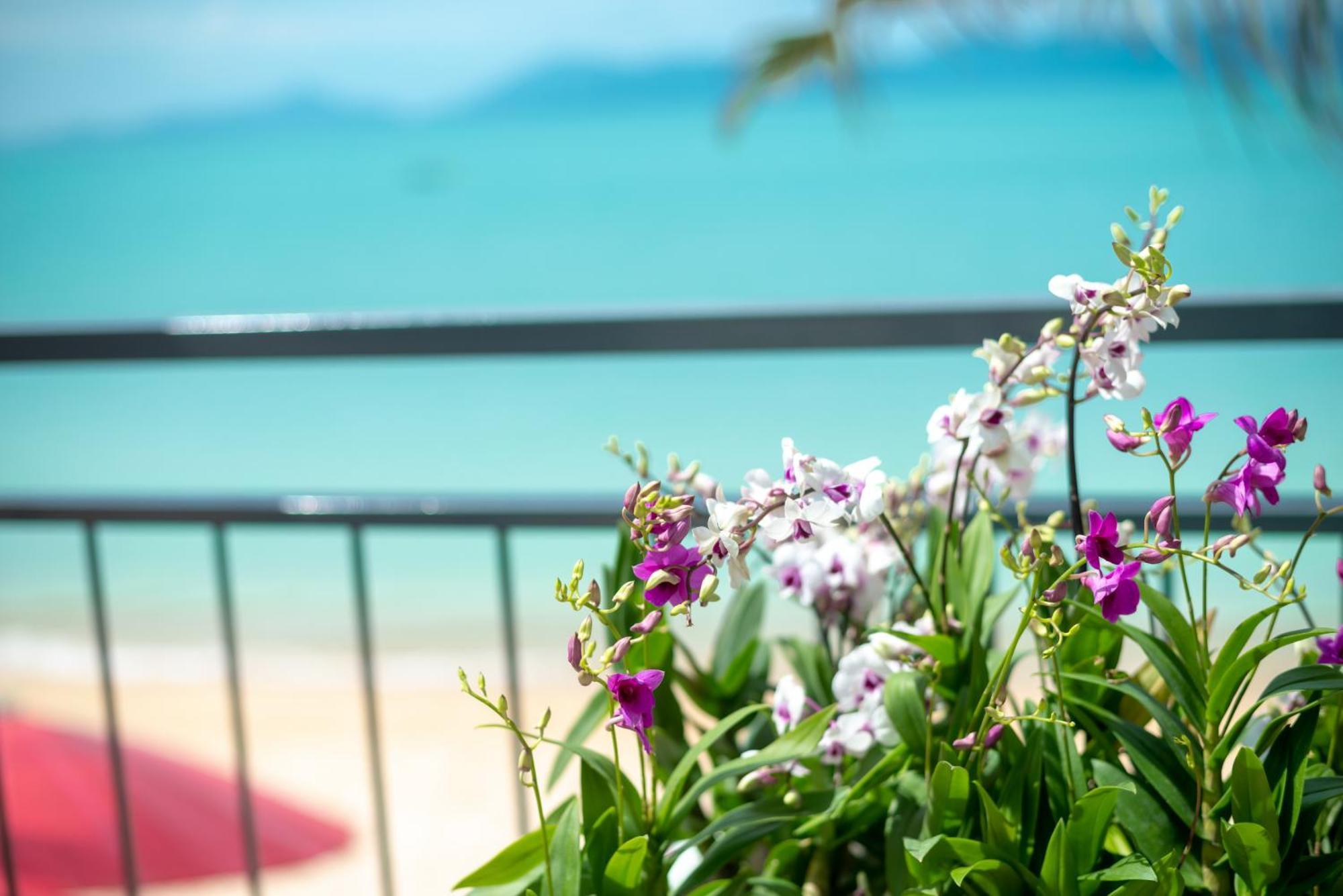 מאה נאם ביץ' The Florist Resort מראה חיצוני תמונה